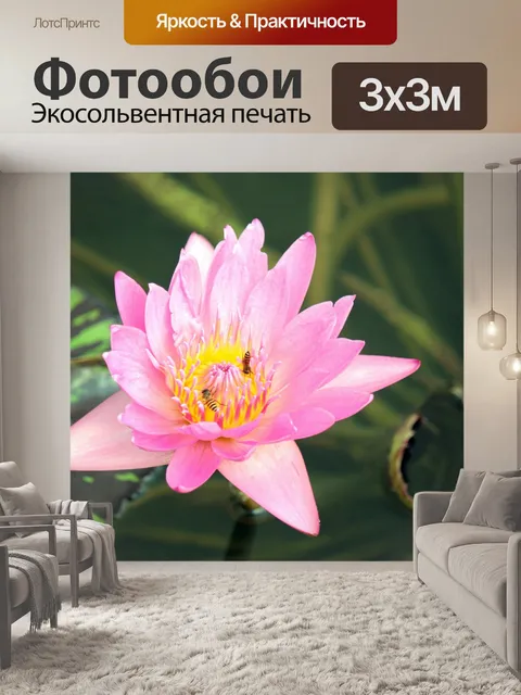 Фотообои Розовый лотос в цвету с пчелами