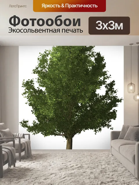 Фотообои Дерево гинкго