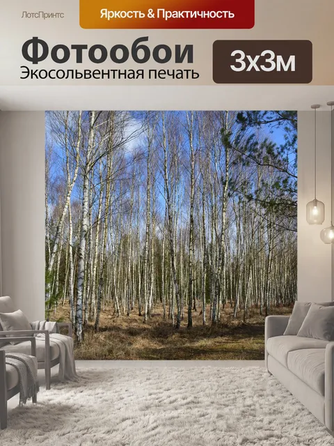 Фотообои Лес