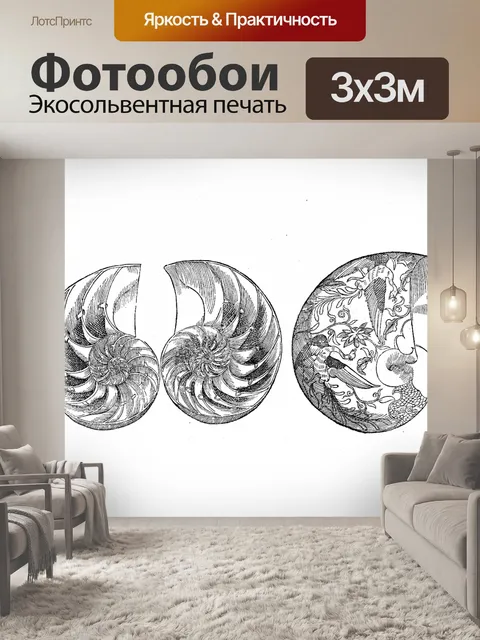 Фотообои Винтажный арт-клипарт ракушка