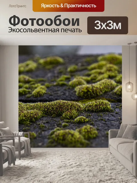 Фотообои Мох на заборе