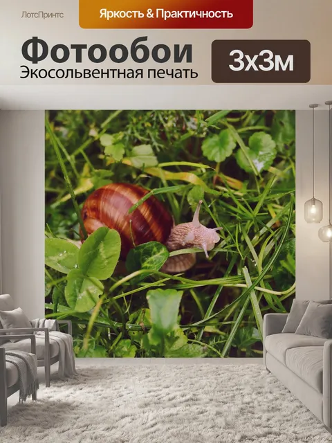 Фотообои Улитка