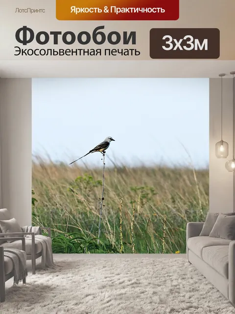 Фотообои Ножничный хвостохранилище в полевых усло