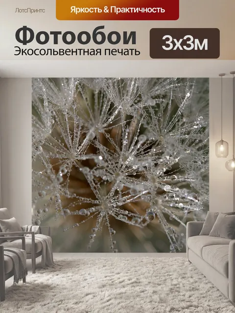 Фотообои Одуванчик