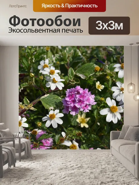 Фотообои Цветы