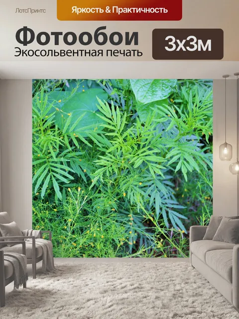 Фотообои процветает сорняки