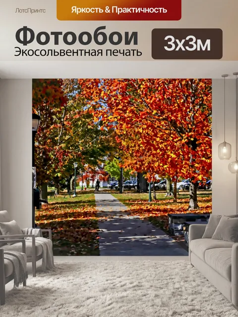 Фотообои Осенний парк