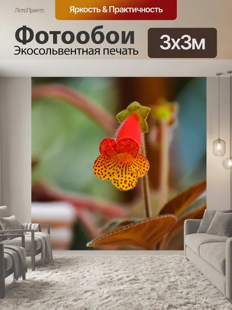 Фотообои Цветы