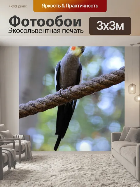 Фотообои Любовь птицу