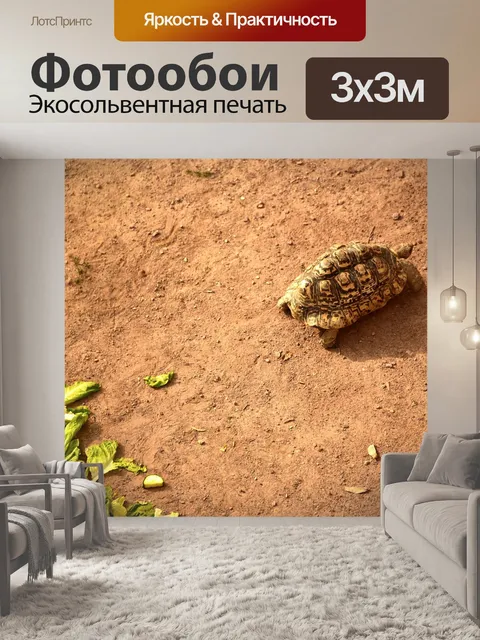Фотообои Черепаха