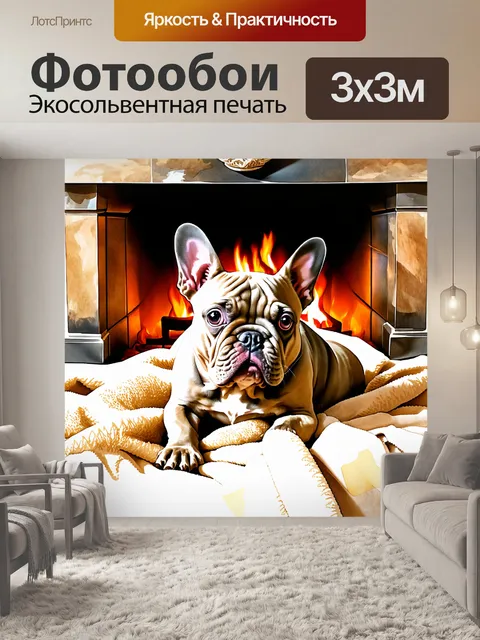 Фотообои изображение симпатичного французского бульдога