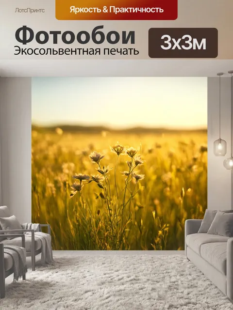 Фотообои поле с дикими травами и цветами, напоминающее натюрморт, с натянутыми тенями от вечернего солнечного света