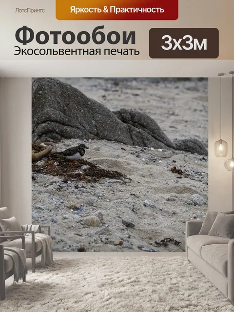Фотообои перевернутая береговая птица
