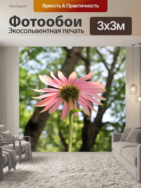 Фотообои Цветок