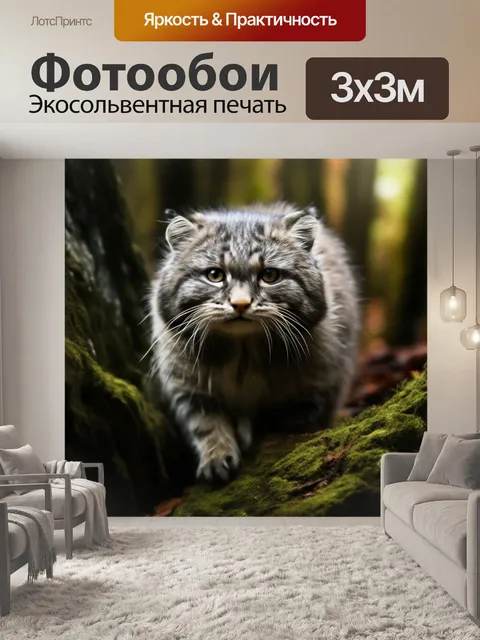 Фотообои Дикий кот Манул