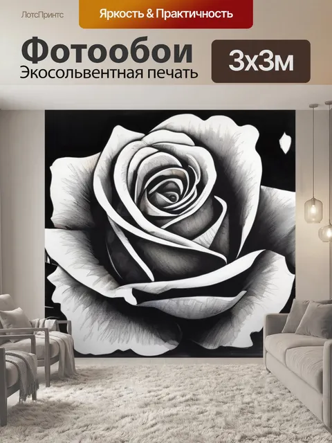 Фотообои роза черная