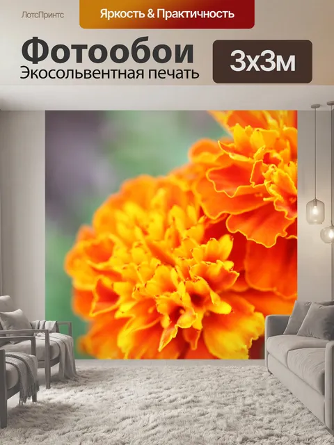 Фотообои Оранжевый календулы