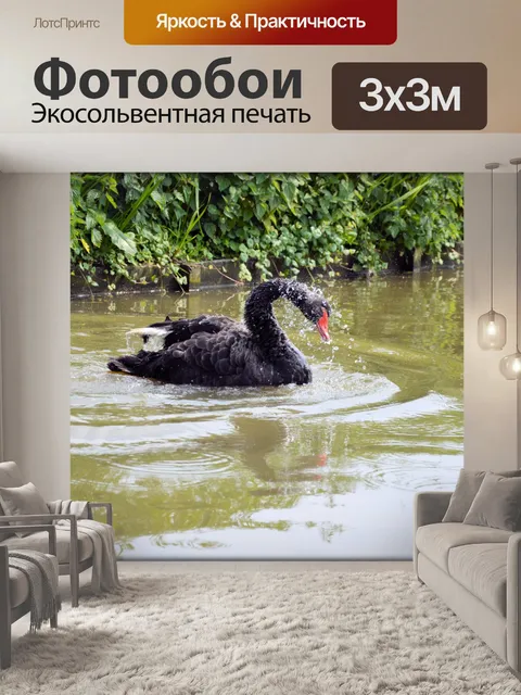 Фотообои Черный лебедь Series 2 водный балет 7