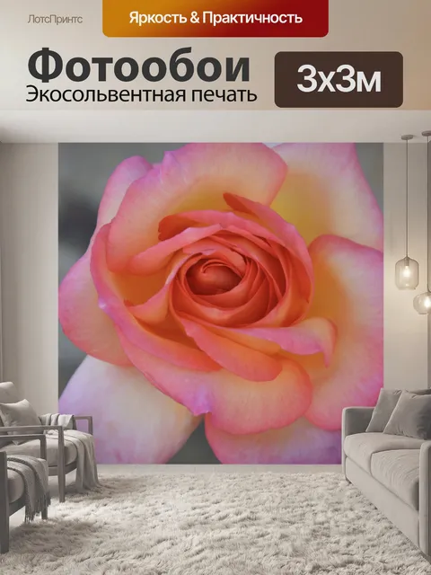 Фотообои Розовый цветной открытый куст кустарника