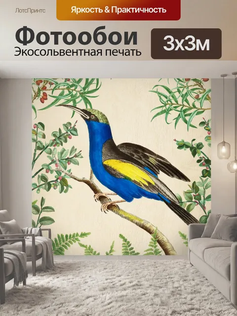 Фотообои Винтажное искусство тропическая птица