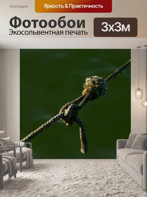 Фотообои Узел
