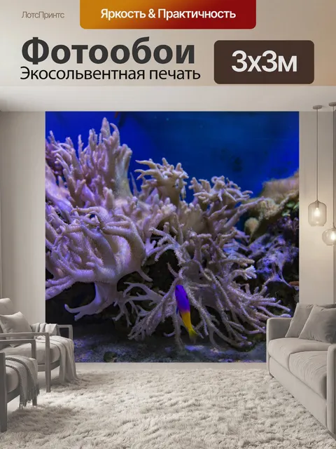 Фотообои Сцены из коралловых рифов