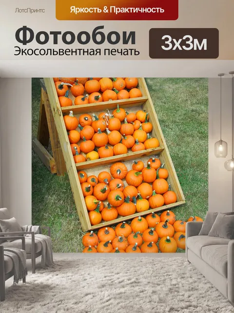 Фотообои Небольшие тыквы для продажи