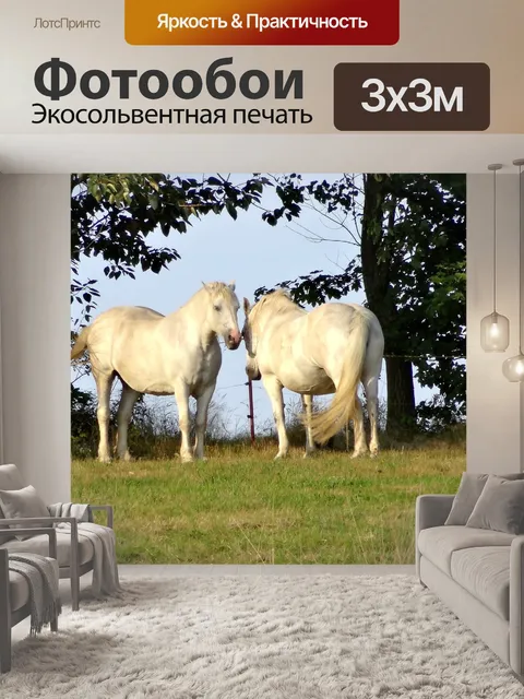Фотообои Лошадь