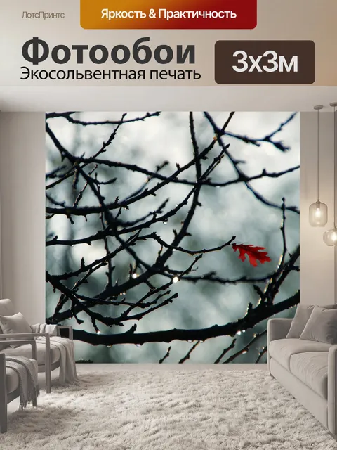 Фотообои Осенние листья листьев красного дерева