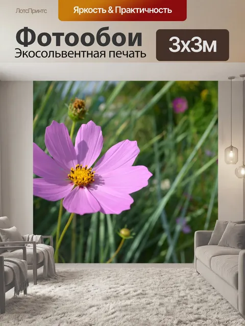 Фотообои Цветы
