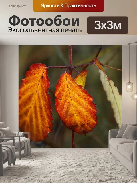 Фотообои Осень листва листья осенняя ветка