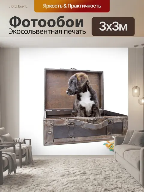 Фотообои Щенок с чемоданом