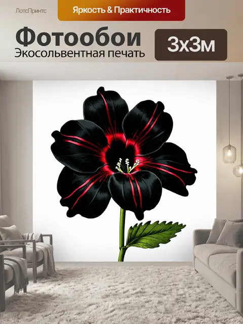 Фотообои чёрные цветы с красными жилками