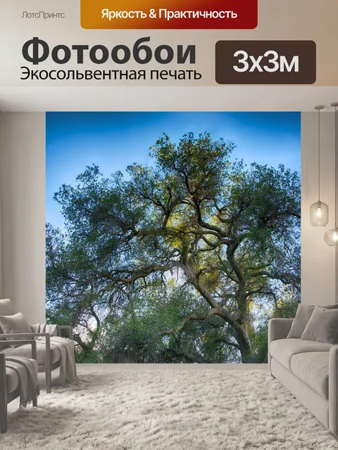 Фотообои Дуб в голубое небо