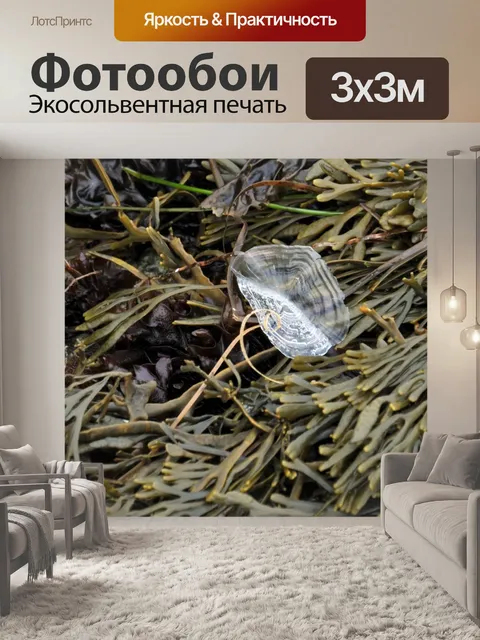 Фотообои Необычное водоросли или Силайф?