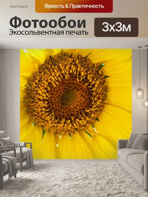 Фотообои Подсолнечник крупным планом