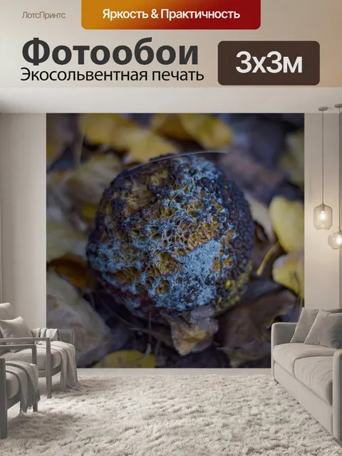 Фотообои Фрукты