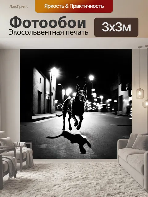 Фотообои **высококонтрастное черно-белое изображение немецкой овчарки