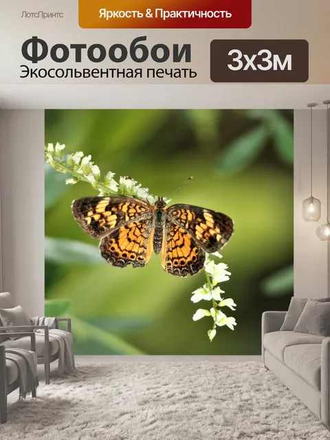 Фотообои Серебристая бабочка в клетку