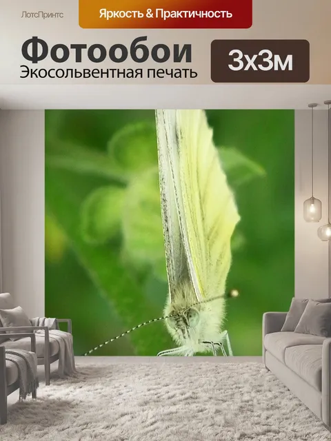 Фотообои Зеленый прожилками белой бабочки