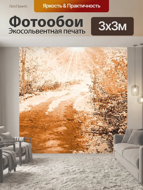 Фотообои Путь в лесу