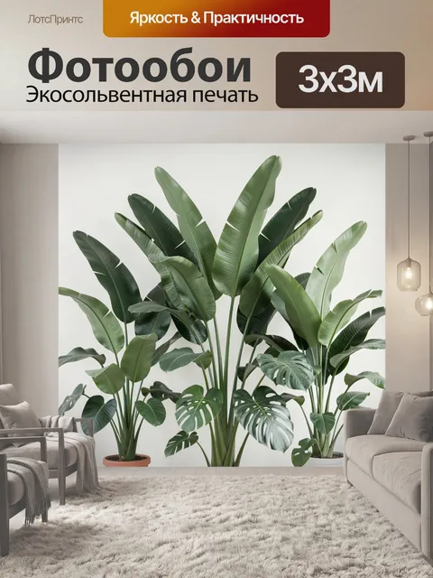 Фотообои Тропические комнатные растения