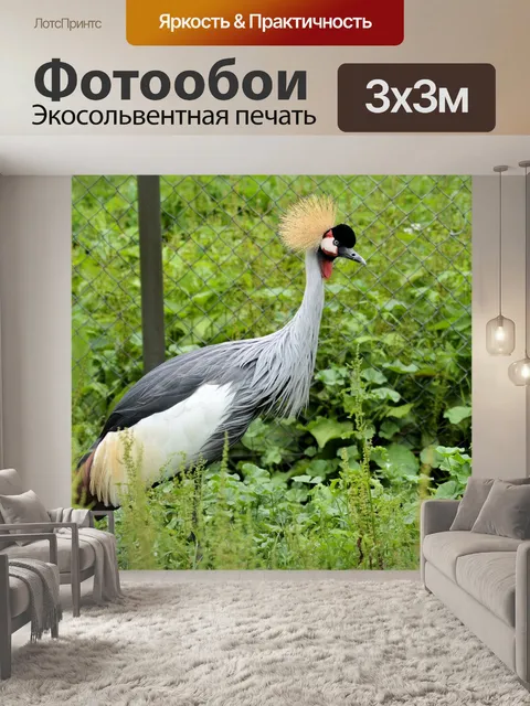 Фотообои Увенчанный кран