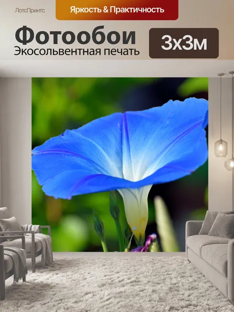 Фотообои Яркий синий цветок