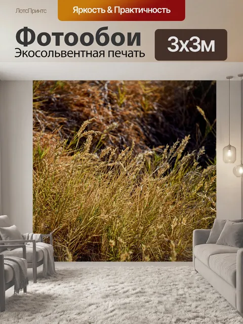 Фотообои Золотой Трава Сумерки
