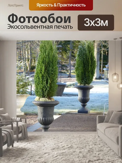 Фотообои Горшки
