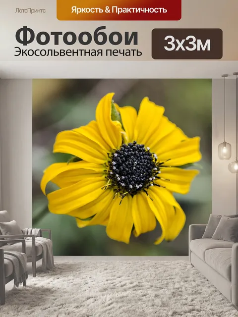 Фотообои Астровые
