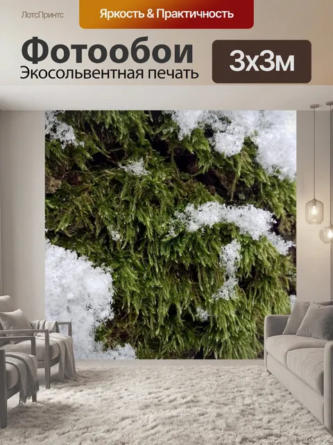 Фотообои Лес