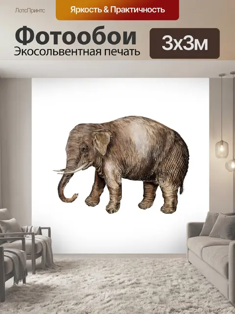 Фотообои Клипарт Elephant animal vintage