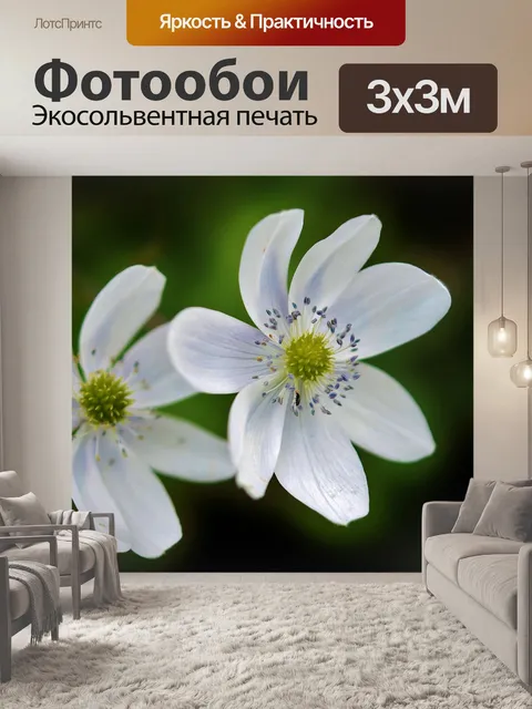 Фотообои Белый